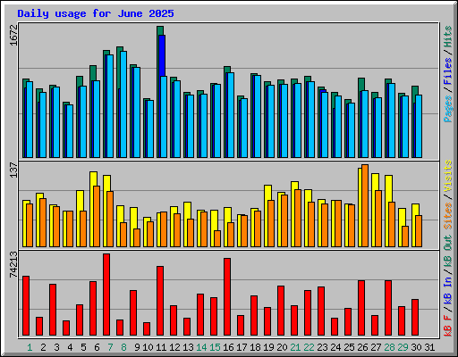 Daily usage for June 2025