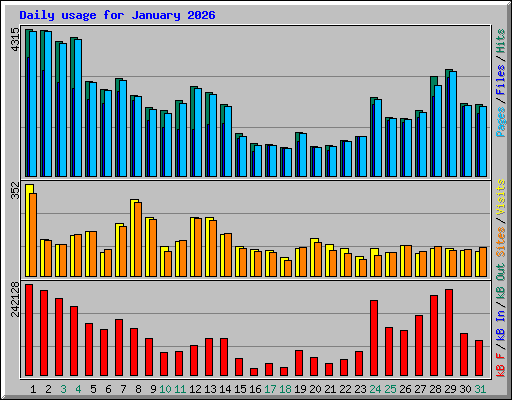 Daily usage for January 2026