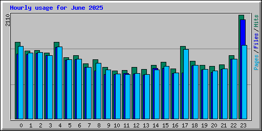Hourly usage for June 2025
