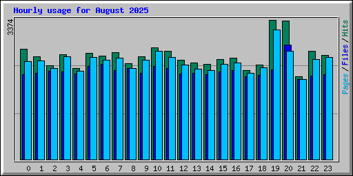 Hourly usage for August 2025