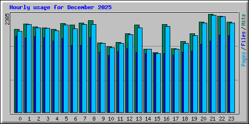 Hourly usage for December 2025